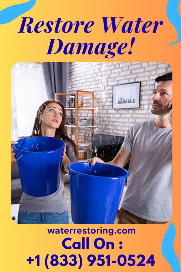 water restoration National Water Solutions Professionals Hillsboro