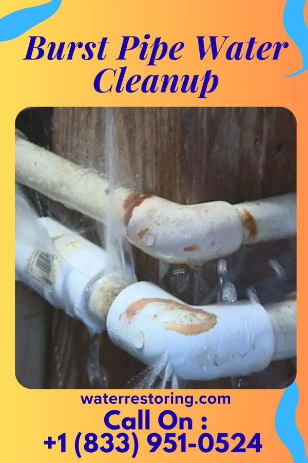 Burst Pipe Water Cleanup in Hillsboro, OH