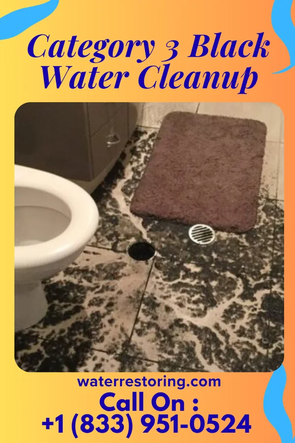 Category 3 Black Water Cleanup in Hillsboro, OH
