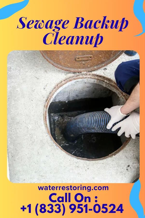 Sewage Backup Cleanup in Hillsboro, OH
