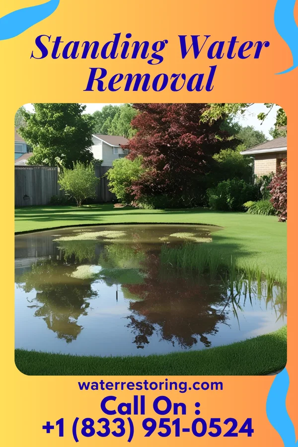Standing Water Removal in Hillsboro, OH